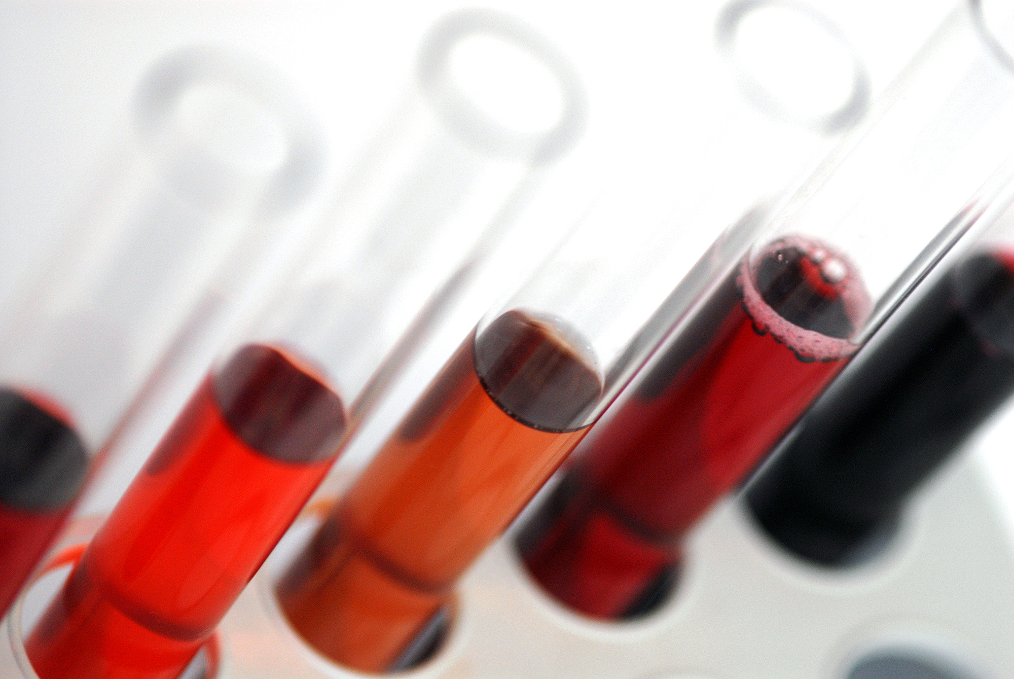 Natural Fruit Colours | Iprona | Ingredients Network